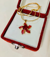 Zircon Pendant-216 (Maroon)